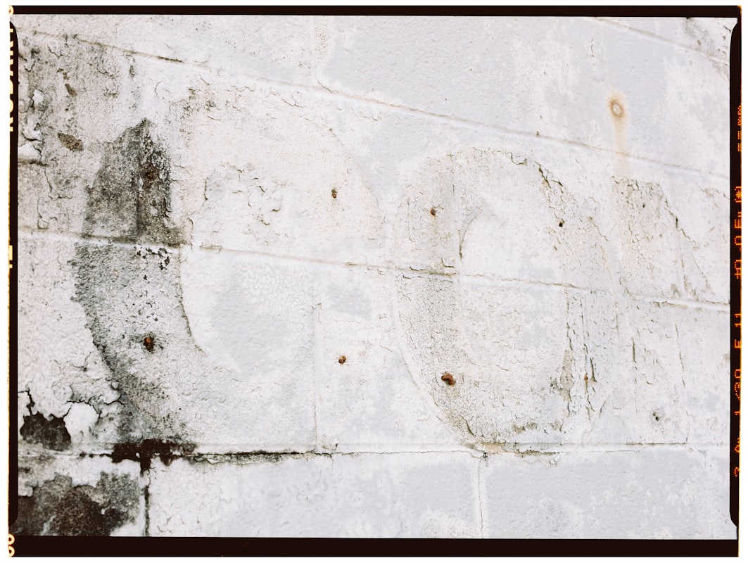 Basement Water Removal service in Salisbury, MD