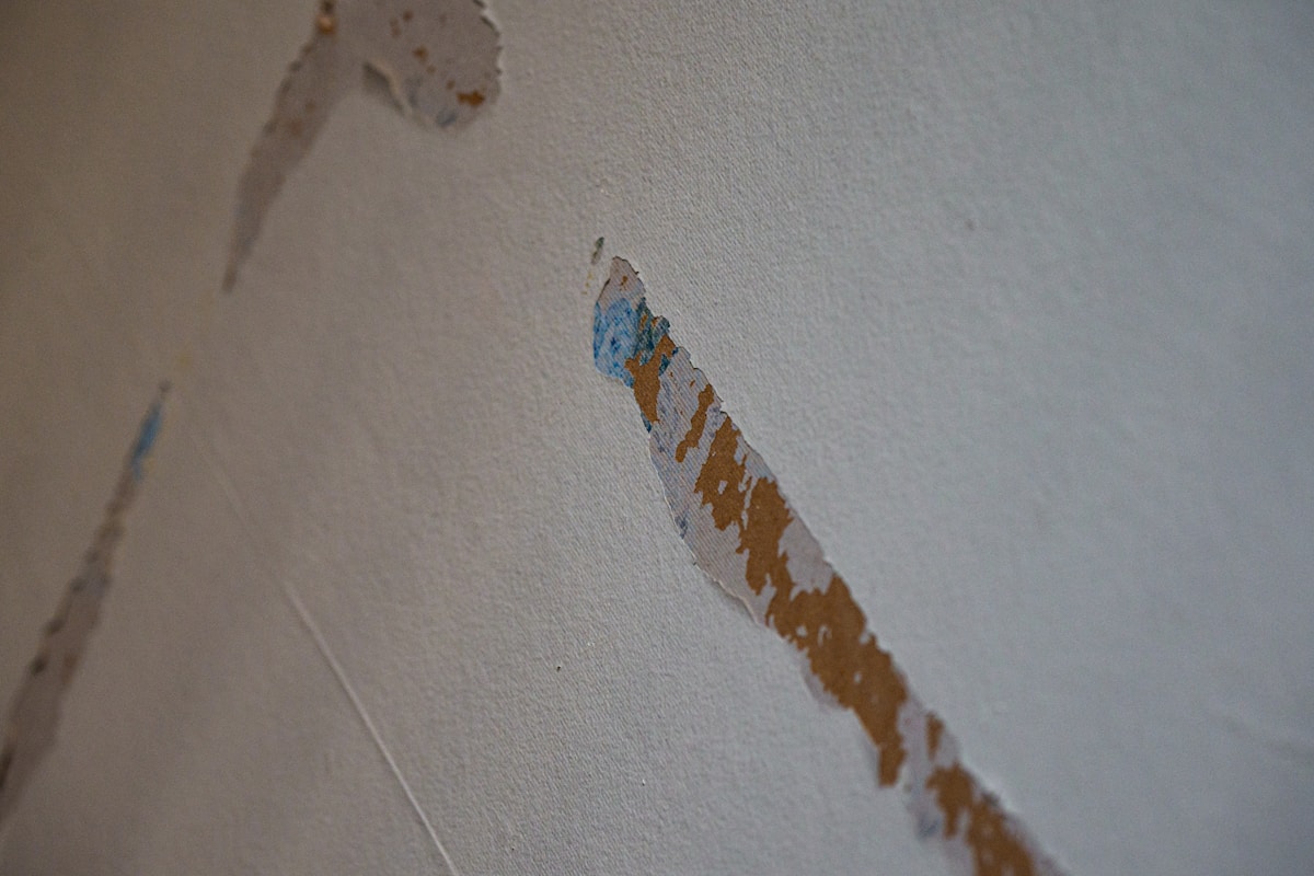 Storm Damage Repair service in Salisbury, MD